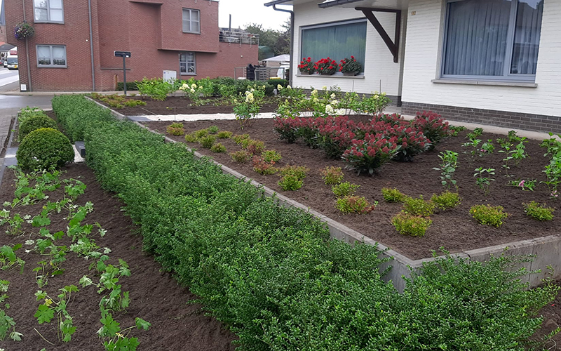 Nieuwe aanplanting bij tuinrenovatie in voortuin huis Loenhout