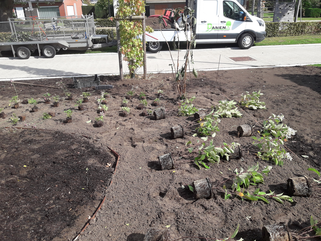Beplanting en cortenstaal boorden in voortuin van huis in Wuustwezel