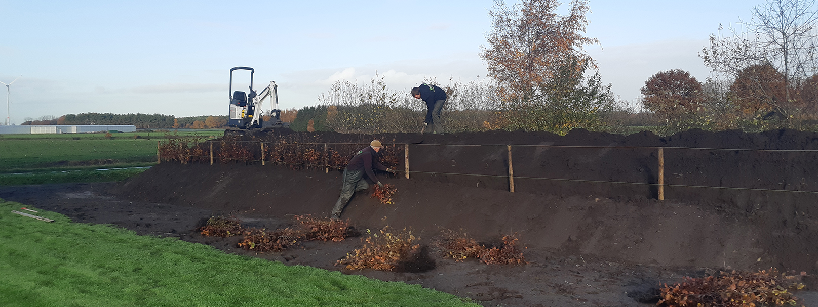 Beplanting bij ophoging met extra grond op groot open terrein in Loenhout