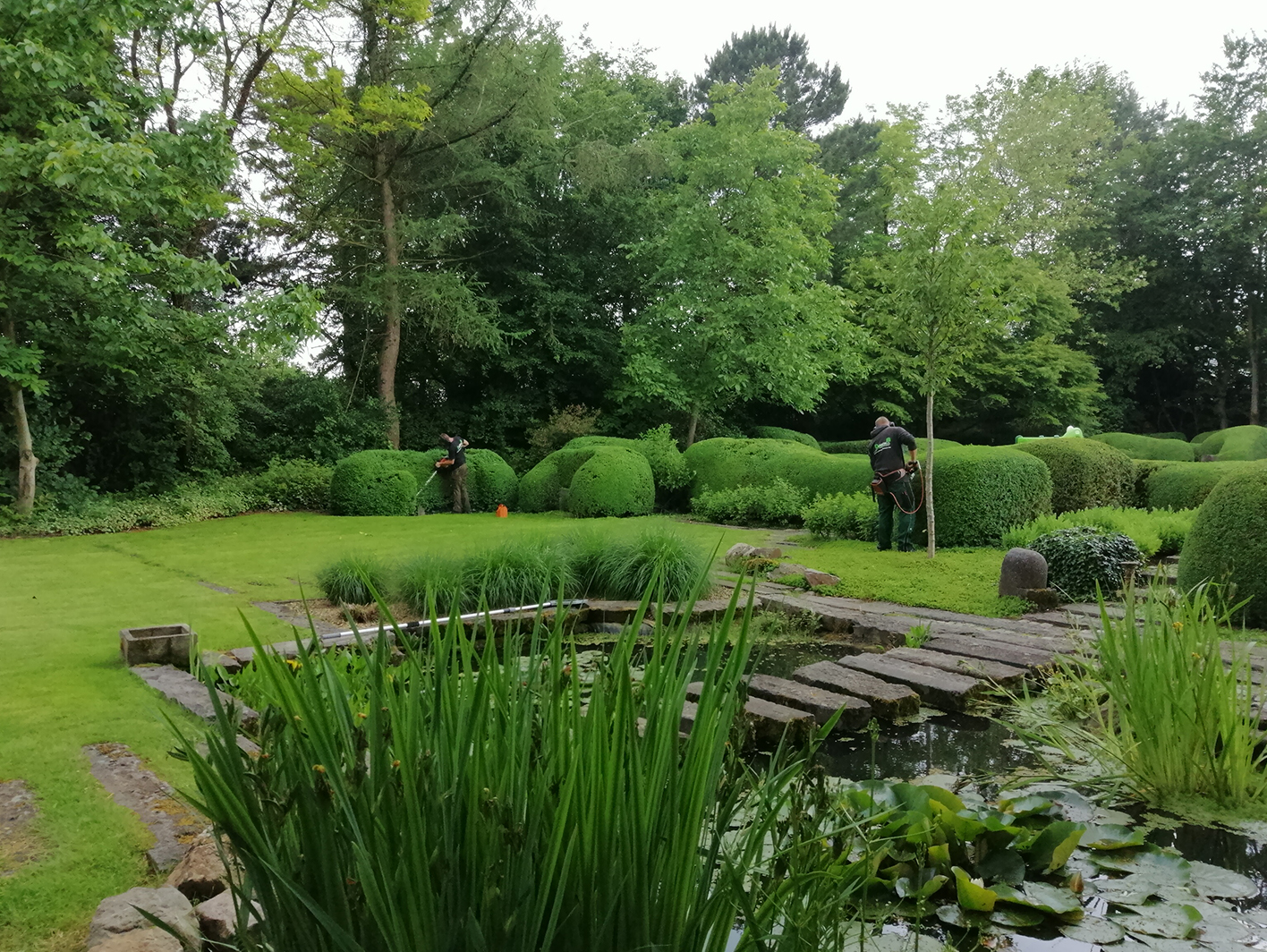 Tuinonderhoud en vormsnoei in grote tuin in Wuustwezel met vijver