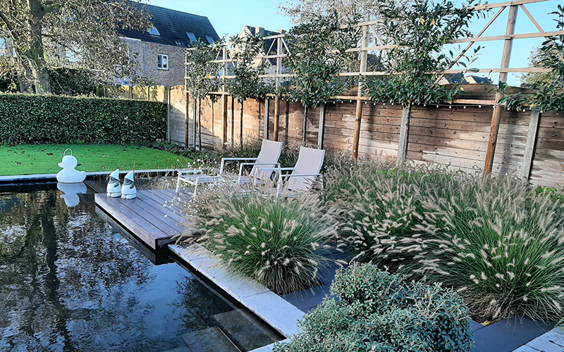 Renovatie en aanleg tuin en vijver door tuinaanleg Damen uit Wuustwezel
